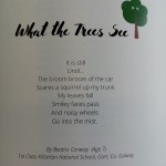 1st and 5th class pupils who were shortlisted for Green schools poetry competition